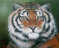 ce regard 41x33 180€ 