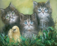 les chatons 30x40 150€