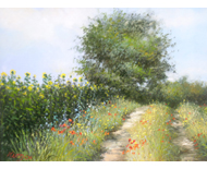 paysage aux tournessols 46x33 250€